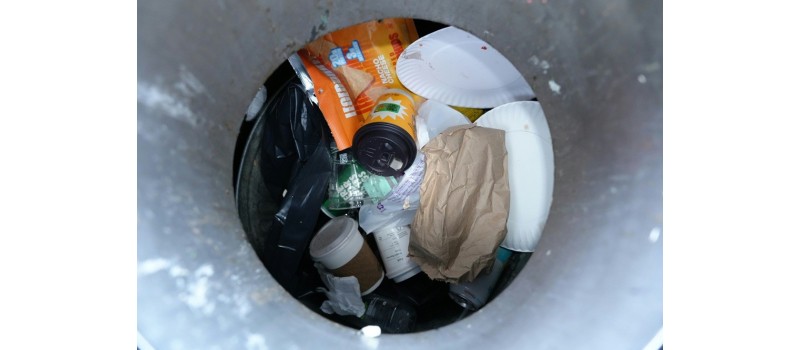 What Can Go in Food Waste Bins?
