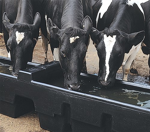 Paxton AT19 Rectangular Drinking Trough - 545 Litres