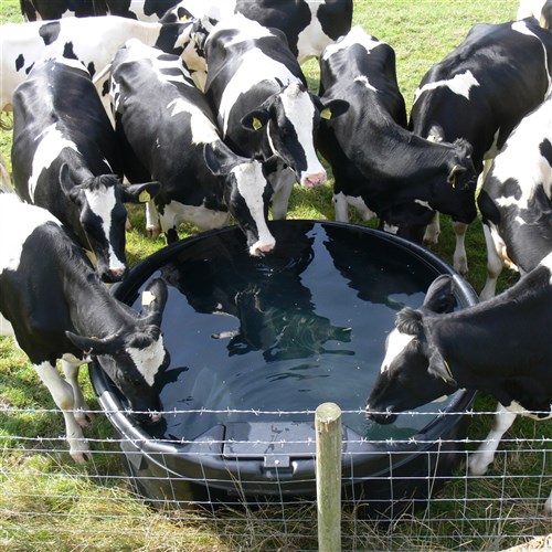 Paxton AT1 Circular Drinking Trough - 2046 Litres