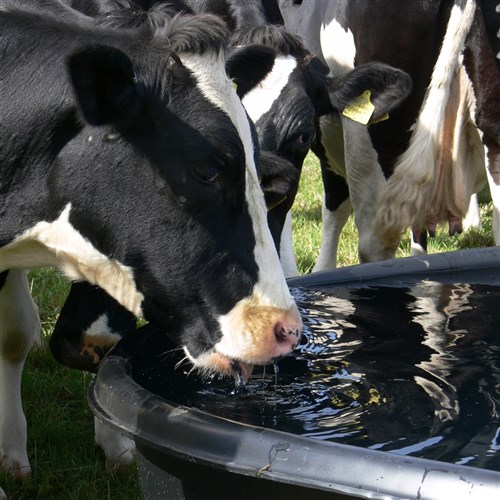 Paxton AT1 Circular Drinking Trough - 2046 Litres