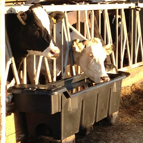 Paxton AT2 Rectangular Drinking Trough - 318 Litres