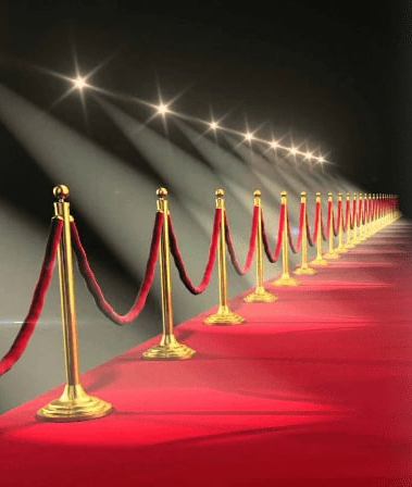 Elegance Ball Top Rope Barrier Post