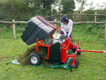 Equestrian Powered Brush