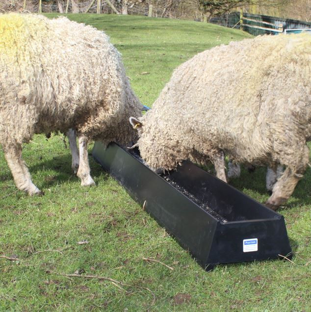 Paxton LF5 Feed Trough - 80 Litres