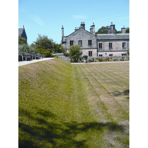 TR Flex Grass Stabilisation Mesh - 1m x 10m - 640g/m2
