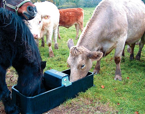 Paxton WT75-R Rectangular Drinking Trough - 75 Litres