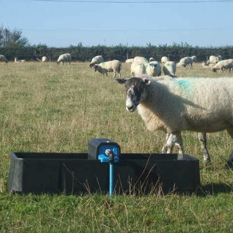 Paxton WT75-R Rectangular Drinking Trough - 75 Litres