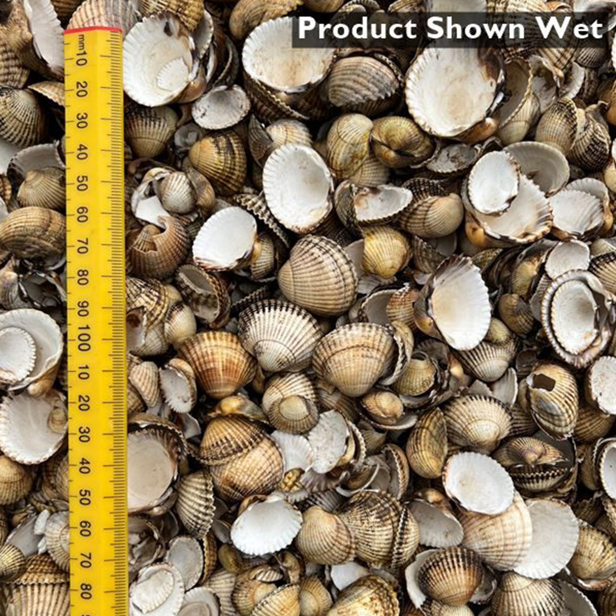 Cockle Shell Mulch - 350kg Bulk Bag