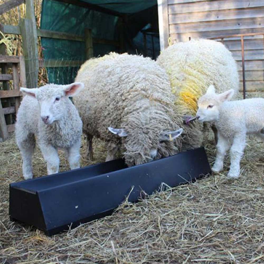Paxton LF100 Feed Trough - 16 Litres