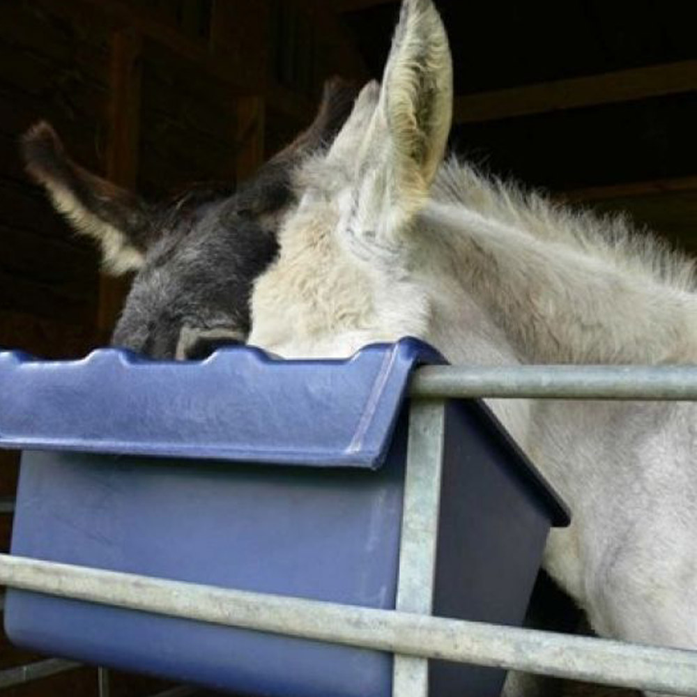 Paxton LF6 Hanging Feed Trough - 28 Litres